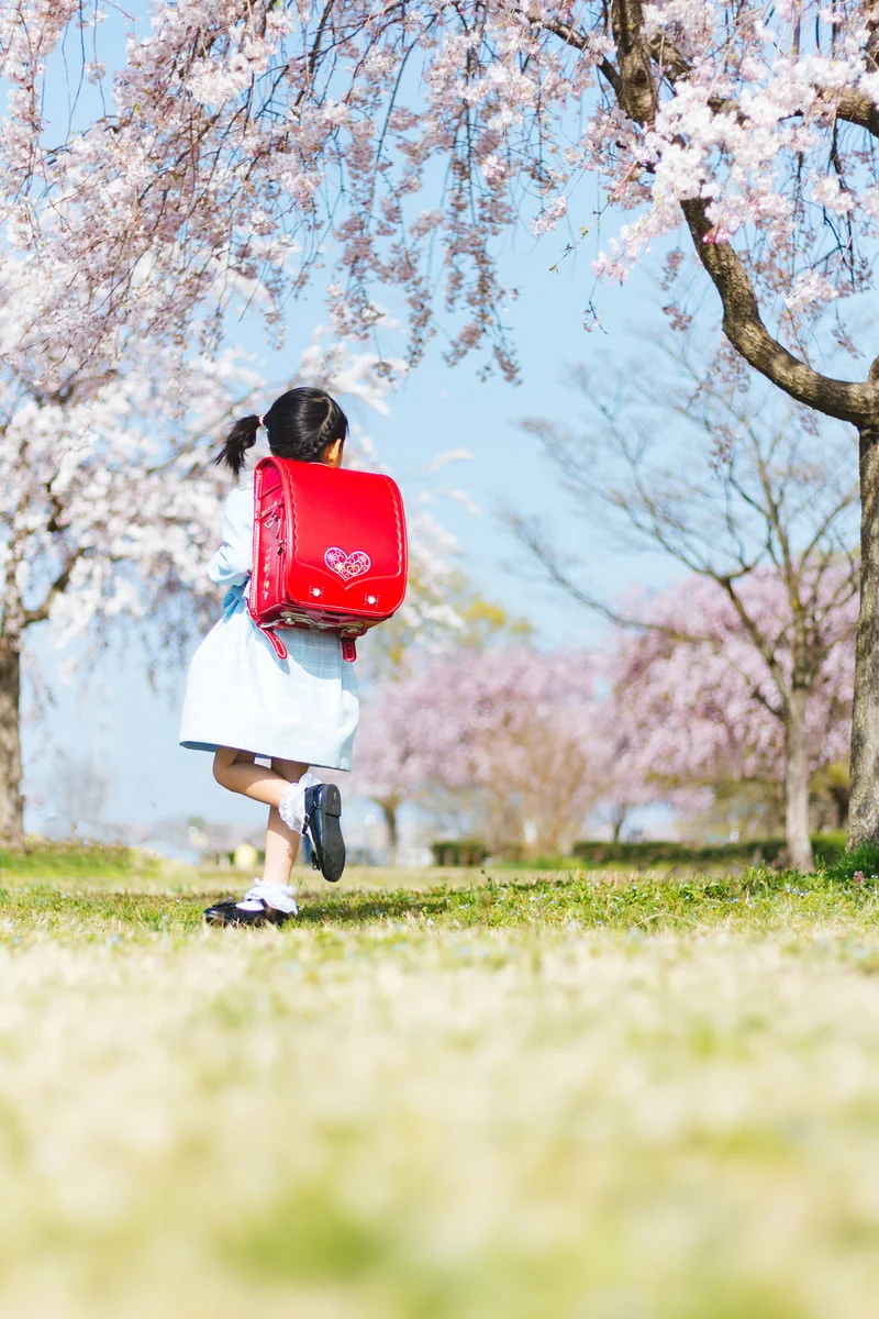 ランドセルを背負った女の子が桜の木の下を走る